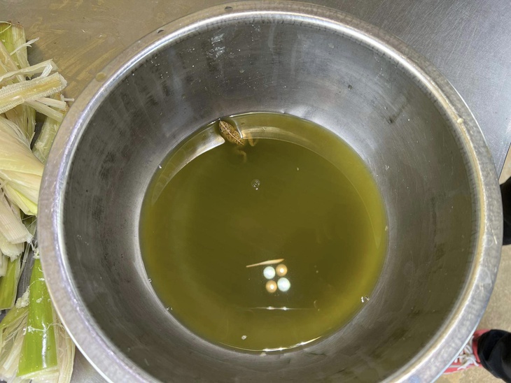 Bác sĩ mang quân hàm xanh với bài thuốc 'trị' ... độc do ăn lá ngón- Ảnh 5. Bác sĩ mang quân hàm xanh với bài thuốc 'trị' ... độc do ăn lá ngón- Ảnh 5.