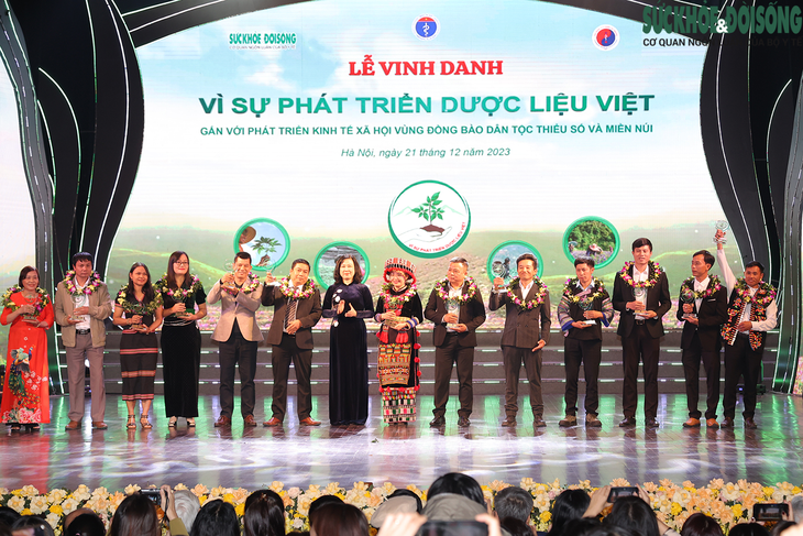 13 HTX trồng, chăm sóc dược liệu xuất sắc được vinh danh- Ảnh 2.