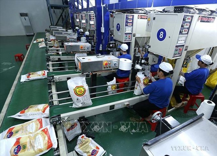 Giá gạo Việt Nam tăng lên mức cao nhất trong hơn 15 năm- Ảnh 1.