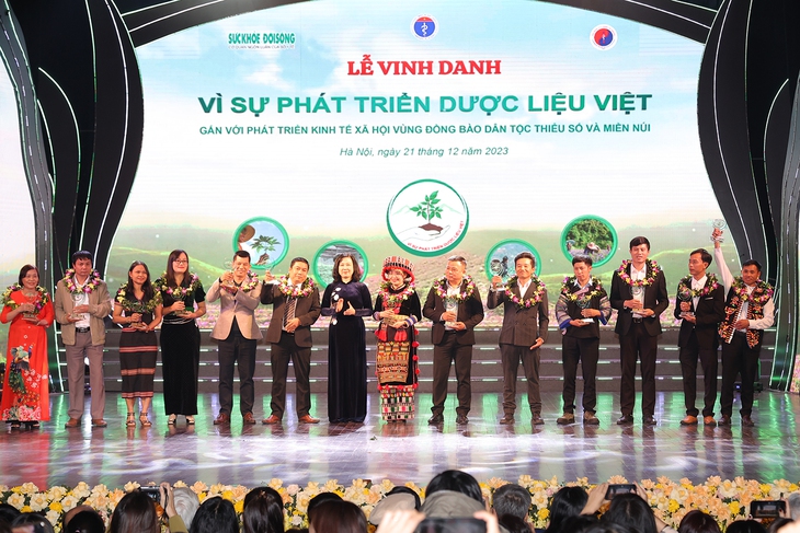 Hướng đi mới của các HTX giúp cà gai leo trở thành cây dược liệu mang lại thu nhập tốt cho người dân- Ảnh 2. Hướng đi mới của các HTX giúp cà gai leo trở thành cây dược liệu mang lại thu nhập tốt cho người dân- Ảnh 2.