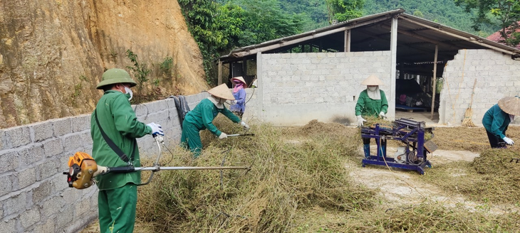 Nhờ trồng cà gai leo, xạ đen giúp người đàn ông ở Tuyên Quang thoát nghèo- Ảnh 3. Nhờ trồng cà gai leo, xạ đen giúp người đàn ông ở Tuyên Quang thoát nghèo- Ảnh 3.