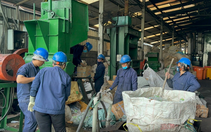 Tạm giữ gần 25 tấn nội tạng động vật đông lạnh không hạn sử dụng, không nguồn gốc