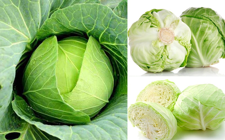Bắp cải, vị thuốc của người nghèo