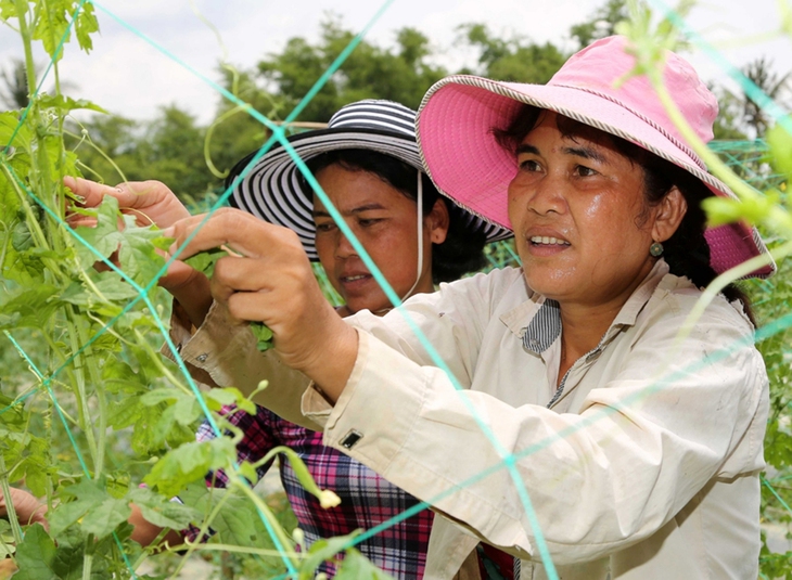 Chính sách tín dụng ưu đãi giúp đồng bào DTTS Trà Vinh vươn lên thoát nghèo- Ảnh 1. Chính sách tín dụng ưu đãi giúp đồng bào DTTS Trà Vinh vươn lên thoát nghèo- Ảnh 1.