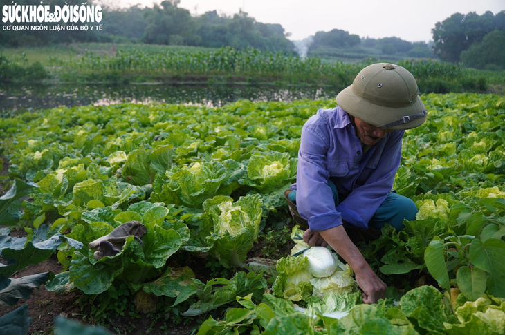 Dòng sông từng ô nhiễm nhất miền Bắc giờ ra sao?- Ảnh 11.