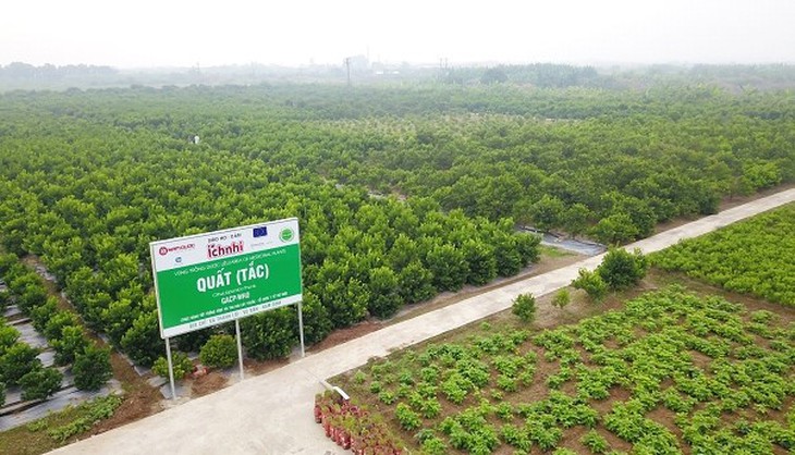 Nam Dược – phát triển vùng trồng chuẩn quốc tế, bảo tồn nguồn gen dược liệu, giúp xóa đói giảm nghèo- Ảnh 1.
