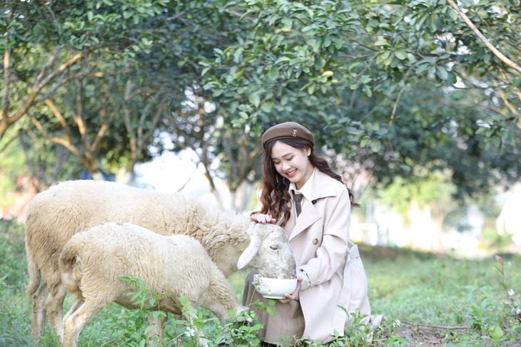 Thưởng ngoạn những địa điểm chơi Tết Dương lịch tuyệt đẹp nơi miền Tây xứ Nghệ- Ảnh 3. Thưởng ngoạn những địa điểm chơi Tết Dương lịch tuyệt đẹp nơi miền Tây xứ Nghệ- Ảnh 3.