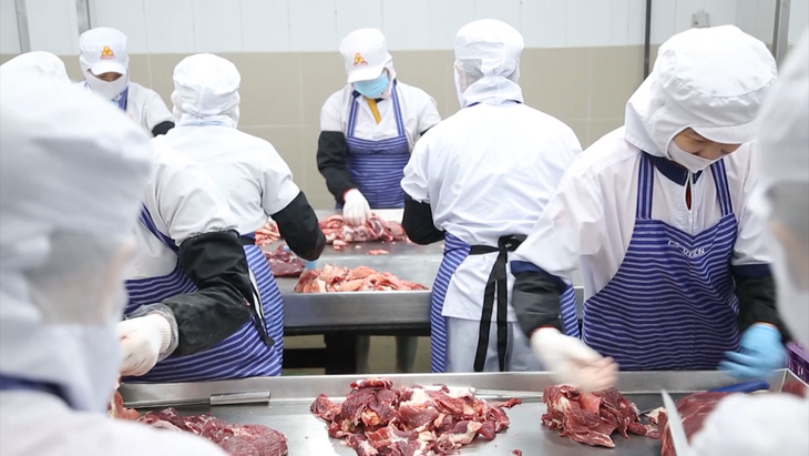 Chuyên gia hướng dẫn người tiêu dùng lựa chọn thực phẩm an toàn dịp Tết Nguyên đán- Ảnh 2.