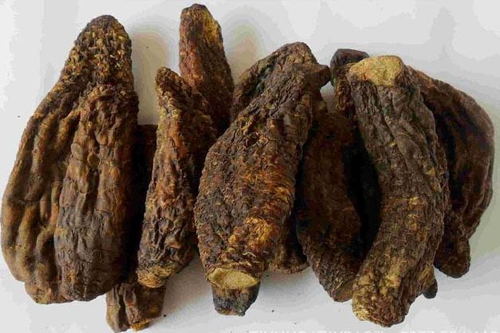 Món ăn bài thuốc từ nhục thung dung tốt cho 'phái mạnh'- Ảnh 2.