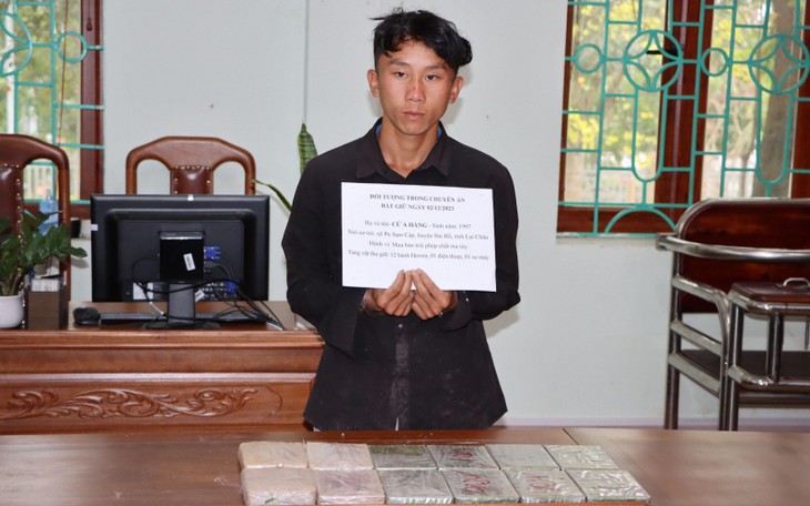 Bắt đối tượng mua bán trái phép 12 bánh heroin