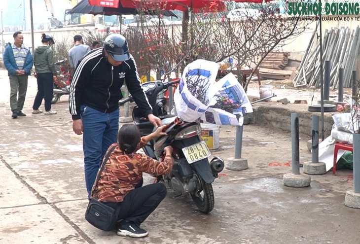 Tranh thủ nghỉ lễ, người Hà Nội mua đào nở sớm thưởng thức không khí Tết - Ảnh 4.