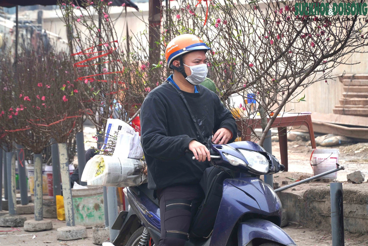 Tranh thủ nghỉ lễ, người Hà Nội mua đào nở sớm thưởng thức không khí Tết - Ảnh 9.