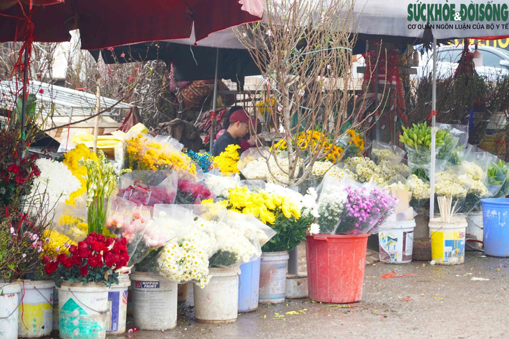 Tranh thủ nghỉ lễ, người Hà Nội mua đào nở sớm thưởng thức không khí Tết - Ảnh 12.