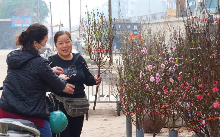 Tranh thủ nghỉ lễ, người Hà Nội mua đào nở sớm để 'thưởng' không khí Tết âm giữa Tết dương