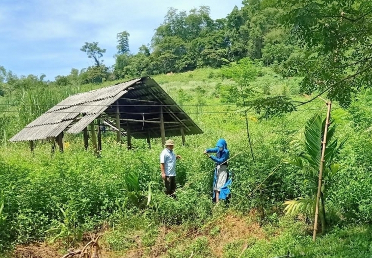 Chuẩn bị 'khai tử' dự án điện năng lượng mặt trời nằm trên giấy- Ảnh 1.