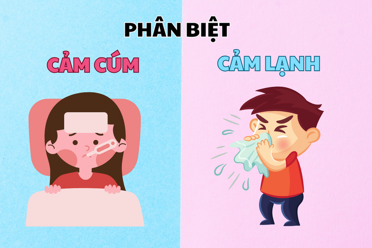 Phân biệt cảm cúm và cảm lạnh, cách hỗ trợ giảm triệu chứng bệnh hiệu quả- Ảnh 1.