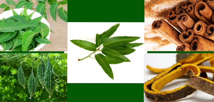 Cách hỗ trợ cải thiện chỉ số đường huyết dùng cho người tiểu đường- Ảnh 2.