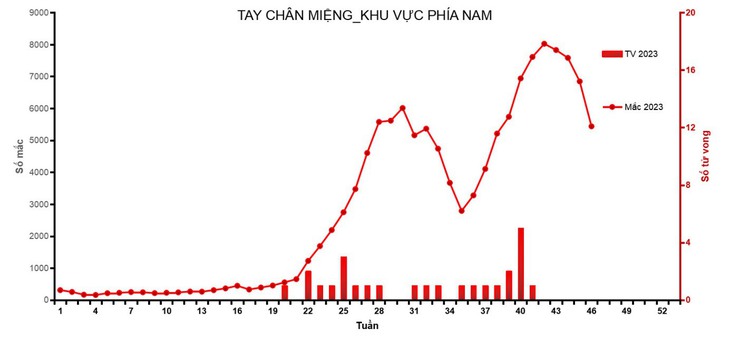 65% ca tay chân miệng nhập viện tại TPHCM có địa chỉ ở các tỉnh lân cận- Ảnh 1.