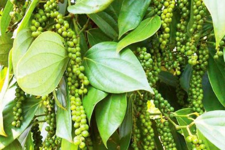 photo-1701960018980