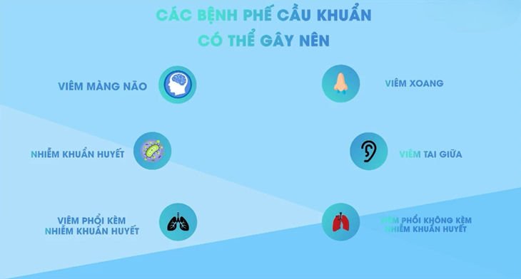 Những sự thật về phế cầu khuẩn có thể bạn chưa biết- Ảnh 1.