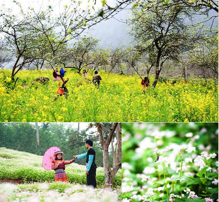 Phát triển du lịch 4 mùa ở Nghệ An- Ảnh 4.