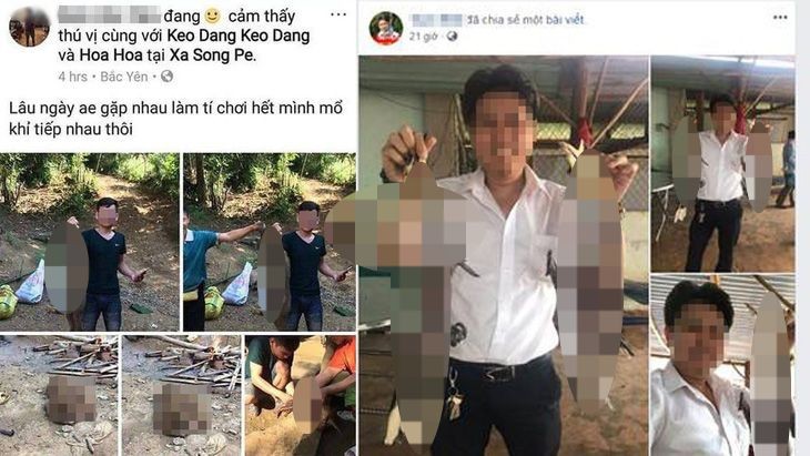 Giết khỉ khoe “chiến tích” trên TikTok có thể bị xử lý hình sự  - Ảnh 2.