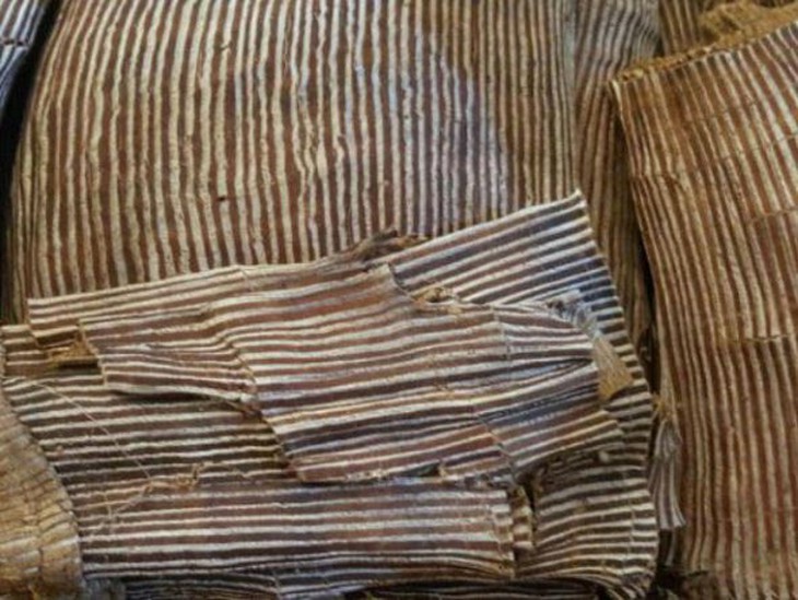 Đỗ trọng – bổ can thận, mạnh gân cốt - Ảnh 2.