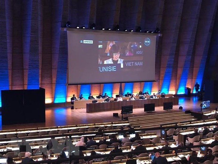 Việt Nam trúng cử Phó Chủ tịch UB bảo vệ đa dạng văn hóa UNESCO - Ảnh 1.