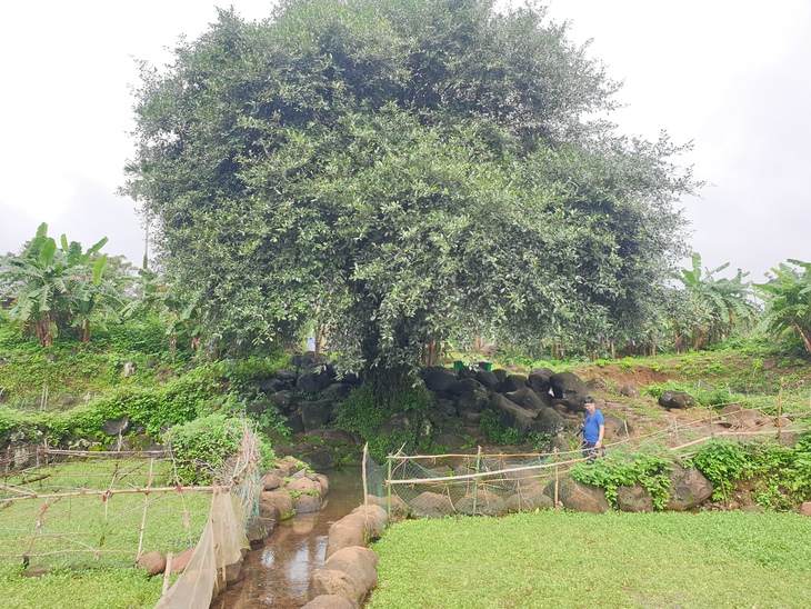 Khám phá hệ thống giếng cổ Chăm Pa ngàn năm tuổi - Ảnh 1.