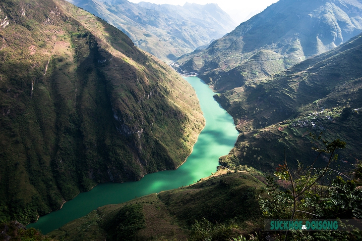 Ngắm "nàng thơ" giữa cao nguyên đá Hà Giang - Ảnh 2.