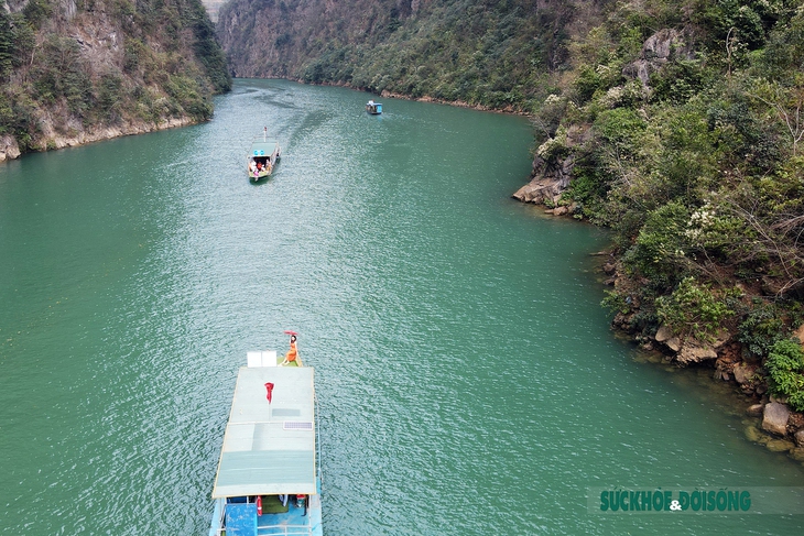 Ngắm "nàng thơ" giữa cao nguyên đá Hà Giang - Ảnh 3.