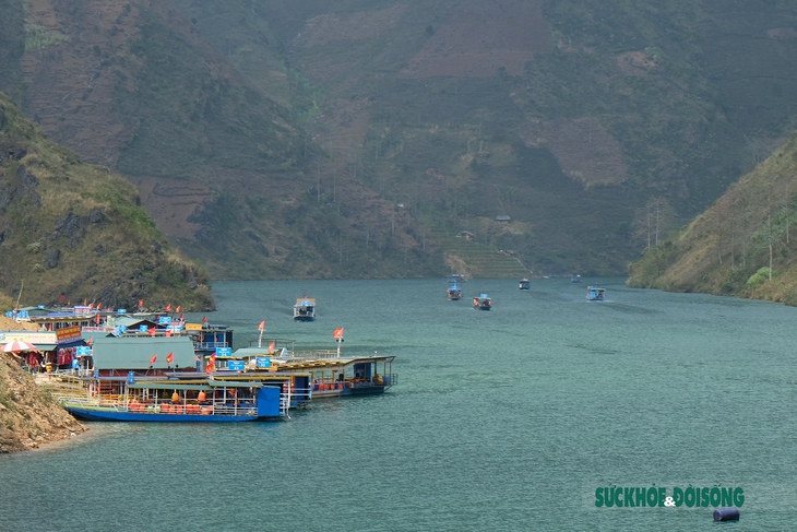 Ngắm "nàng thơ" giữa cao nguyên đá Hà Giang - Ảnh 7.