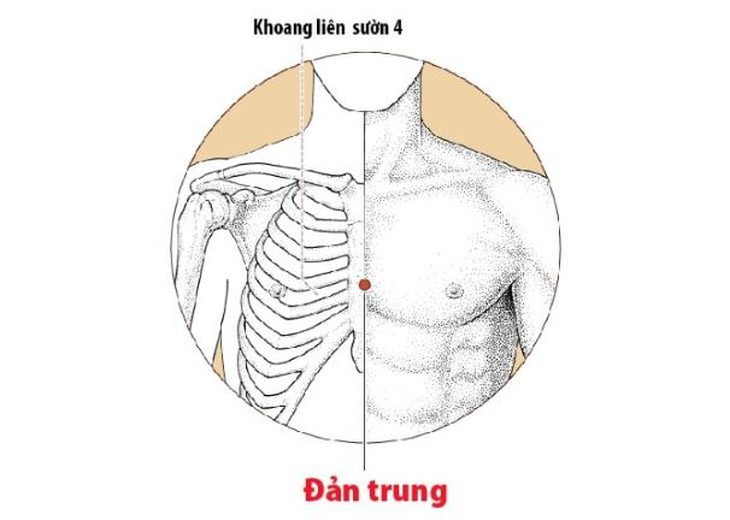 Khi nào áp dụng Đông y điều trị và dự phòng hen phế quản? - Ảnh 5.