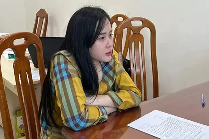 "Hotgirl siêu lừa đảo" Tina Dương bị đề nghị truy tố 2 tội danh - Ảnh 1.
