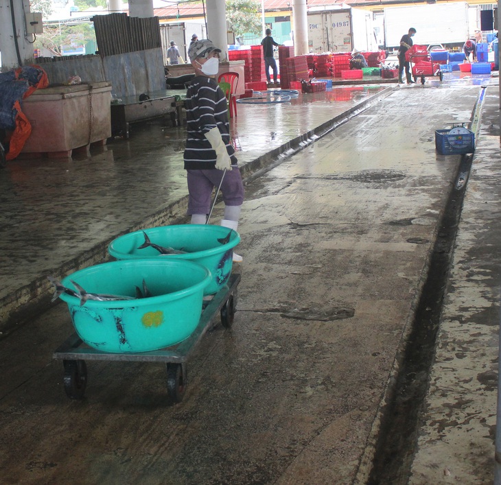 Trúng lộc đầu năm, ngư dân Khánh Hòa xúc động cảm ơn “mẹ biển” - Ảnh 3.