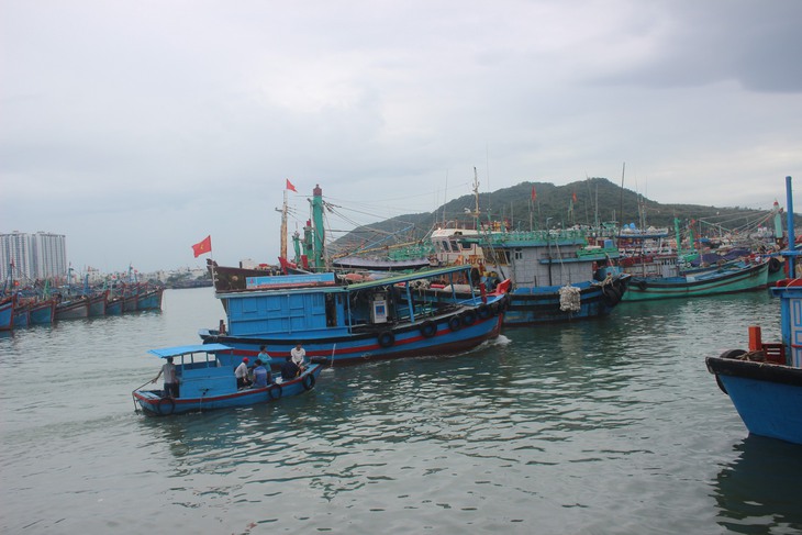 Trúng lộc đầu năm, ngư dân Khánh Hòa xúc động cảm ơn “mẹ biển” - Ảnh 6.
