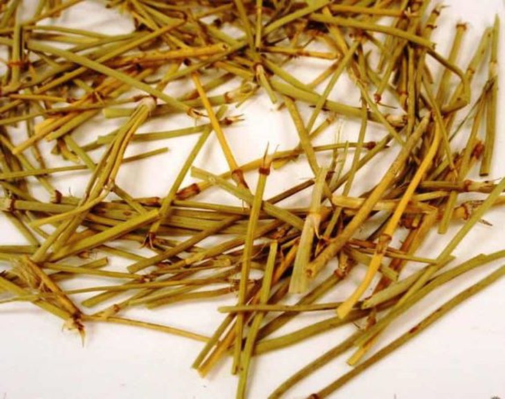 4 thể hen phế quản và pháp điều trị - Ảnh 2.