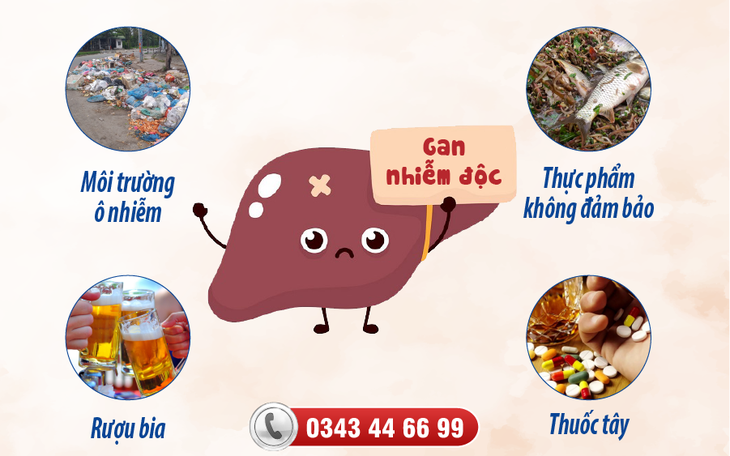 Cách giải độc gan an toàn, hiệu quả