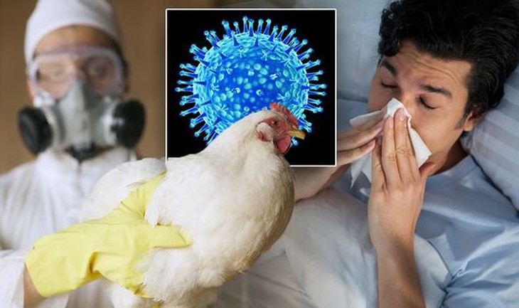 Có cần thiết loại bỏ các món từ trứng và gia cầm để phòng bệnh cúm A(H5N1) không? - Ảnh 1. Có cần thiết loại bỏ các món từ trứng và gia cầm để phòng bệnh cúm A(H5N1) không? - Ảnh 1.