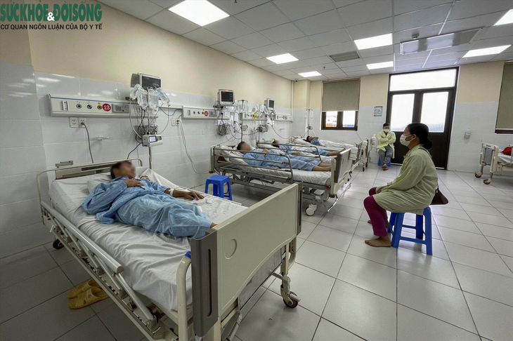 Khuyến cáo của bác sĩ sau vụ 6 người ngộ độc do ăn nấm rừng - Ảnh 1.