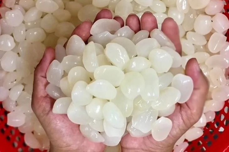 Hạt đác đầu mùa giá cao vẫn được nhiều bà nội trợ săn tìm - Ảnh 2. Hạt đác đầu mùa giá cao vẫn được nhiều bà nội trợ săn tìm - Ảnh 2.
