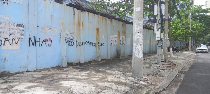 Bát nháo rao bán nhau mèo đen như vật hút tài lộc, chữa bệnh - Ảnh 2.