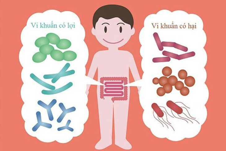 Thực phẩm lên men Kefir có lợi gì cho sức khỏe? - Ảnh 2. Thực phẩm lên men Kefir có lợi gì cho sức khỏe? - Ảnh 2.