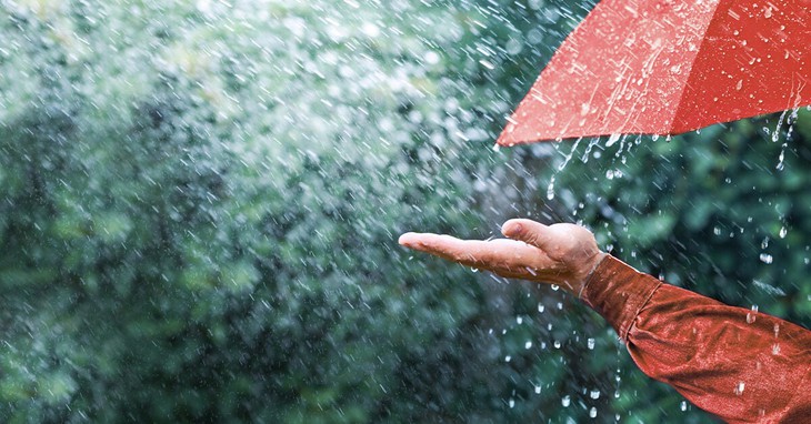 Mùa mưa phùn nồm ẩm, nên ăn gì để cơ thể luôn khỏe mạnh? - Ảnh 2. Mùa mưa phùn nồm ẩm, nên ăn gì để cơ thể luôn khỏe mạnh? - Ảnh 2.