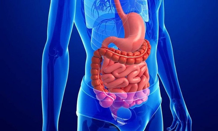 Rối loạn tiêu hóa mãn tính và những phương pháp điều trị hiện có - Ảnh 3. Rối loạn tiêu hóa mãn tính và những phương pháp điều trị hiện có - Ảnh 3.