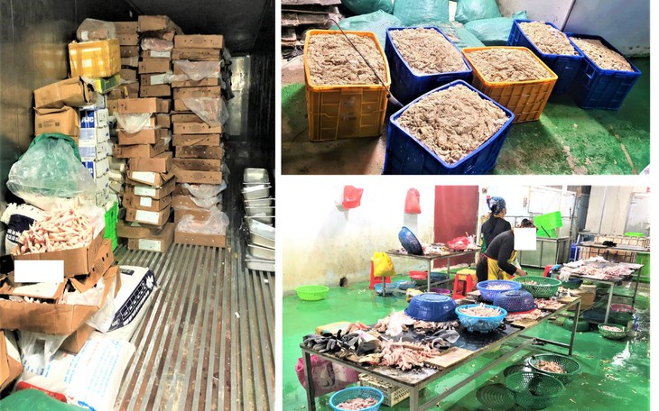 Phát hiện hơn 9 tấn thực phẩm không rõ nguồn gốc, xuất xứ