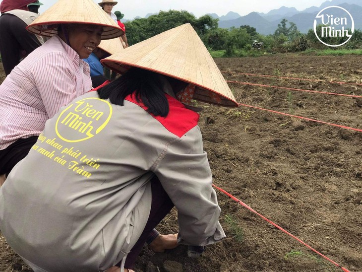 Vì sao tinh dầu tràm được khuyên dùng cho mẹ và bé? - Ảnh 5. Vì sao tinh dầu tràm được khuyên dùng cho mẹ và bé? - Ảnh 5.