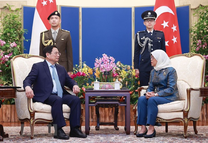 Hình ảnh Thủ tướng hội kiến Tổng thống Singapore Halimah Yacob - Ảnh 2. Hình ảnh Thủ tướng hội kiến Tổng thống Singapore Halimah Yacob - Ảnh 2.