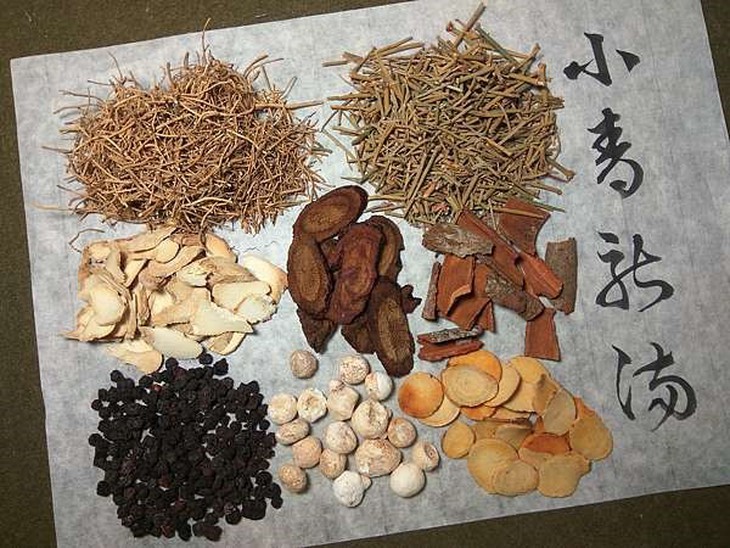 Giải pháp hỗ trợ cải thiện ho, khò khè, khó thở từ thảo dược - Ảnh 2. Giải pháp hỗ trợ cải thiện ho, khò khè, khó thở từ thảo dược - Ảnh 2.