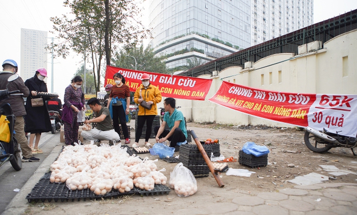 Vì sao đề nghị không nên mua trứng gà "giải cứu"? - Ảnh 1.